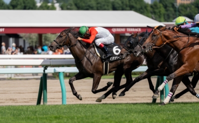 生産馬 インザオベーション号 優勝