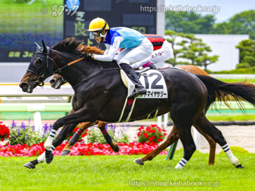 生産馬 アドマイヤサジー号 優勝