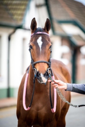 インファルターメ