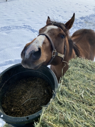 キャントバイミーラヴ