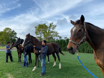 【競走馬引退後の人生】レイクヴィラファームのリードホースをご紹介