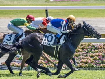 生産馬 ライトバック号 優勝