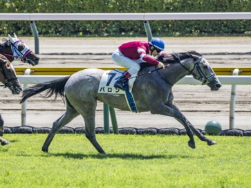 生産馬 バロン号 優勝