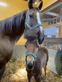 「アフロヘア」で話題になったデリケートアーチ2022について社内トピックスに掲載しました