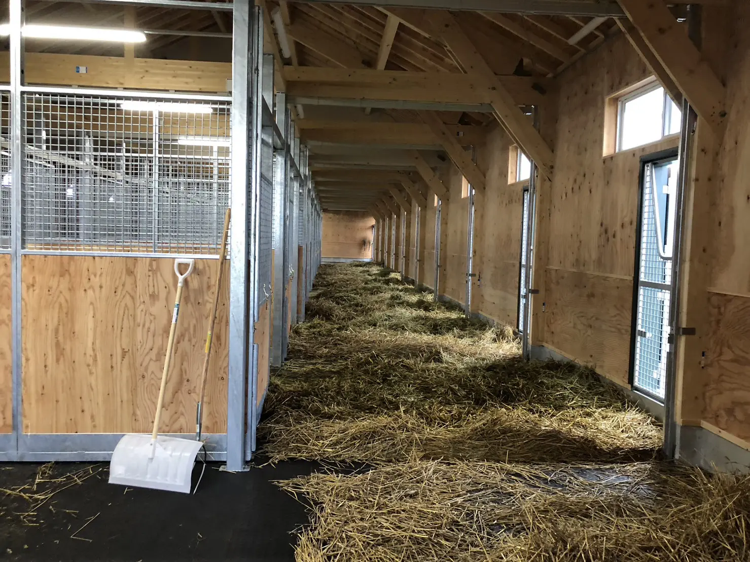 馬を飼うための完全ガイド　改訂版　飼育　管理　馬装具　手入れ　厩舎　掃除　病気 Amazon.co.jp: HORSE CARE MANUAL: 馬を飼うための完全ガイド : コリン