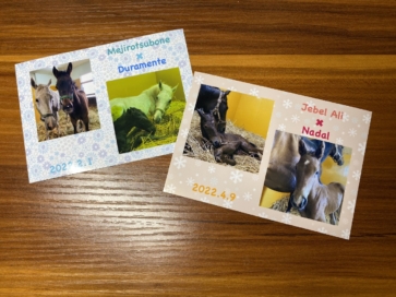 シルクホースクラブツアーを開催しました