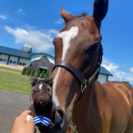 サマーセール2023の様子を社内トピックスに掲載しました