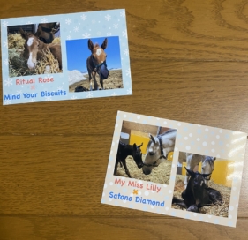 キャロットクラブツアーを開催しました