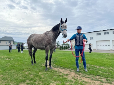 新入社員向けに行った馬とのコミュニケーションレクチャーの様子を社内トピックスに掲載しました