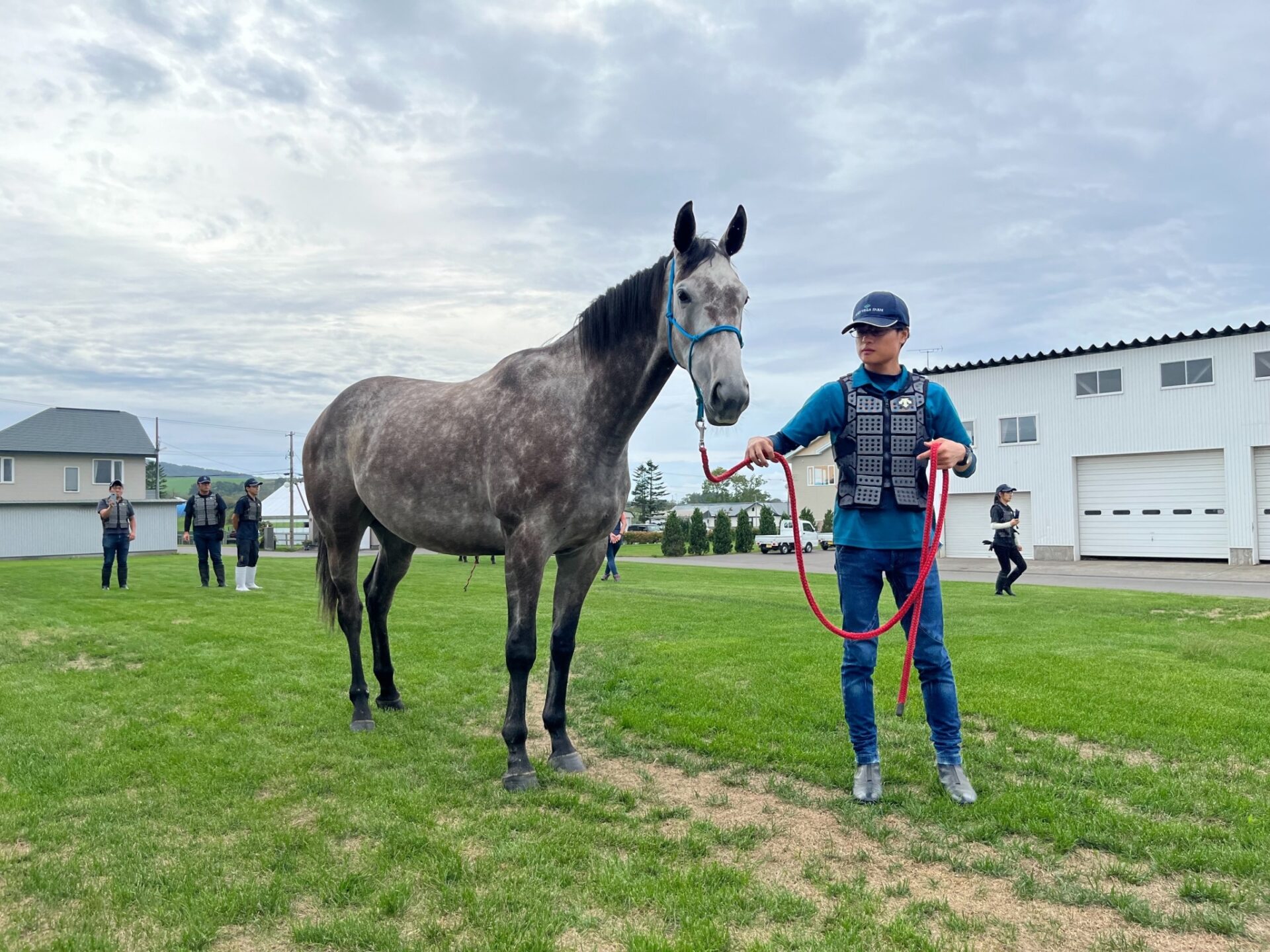 新入社員向けの馬とのコミュニケーションレクチャー