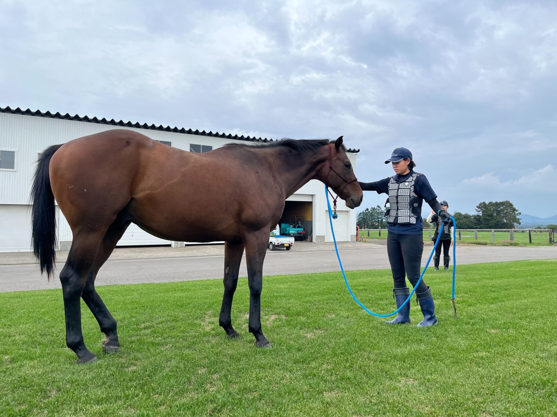 新入社員向けの馬とのコミュニケーションレクチャー