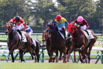 非凡な勝負根性を発揮して、ロンドンアームズがデビューV!生産馬 ロンドンアームズ号 優勝