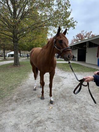 アウェイクアットミッドナイト