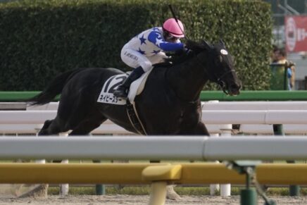 休み明けもなんのその、1番人気に応えて圧勝兄の背中が見えてきたネイビースター