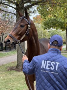 【アメリカ繁殖セリに挑戦】国境を越えた競馬の旅②