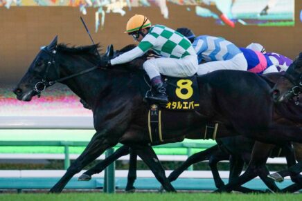 スプリント戦線に新星現るオタルエバーが連勝でオープンV