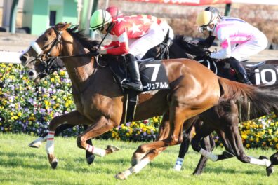 勝負根性を発揮して大接戦制す ルージュアルルが飛躍を予感させる3勝目
