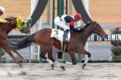 ダート替わりでスイスイとモモンウールーがガラリ一変で初勝利