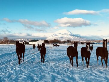 新春の挨拶と新代表取締役岩﨑義久のご紹介