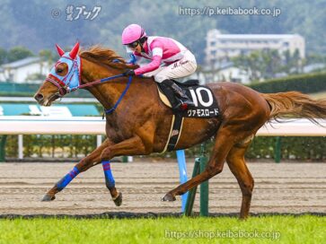 待ちに待った屈腱炎からの復活V ヴァモスロードが鮮やか逃げ切り