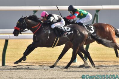 男勝りの勝負根性&迫力ボディー レディフォースが堂々のオープン入り