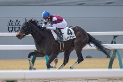 血が導いたガラリ一変 レイクスターがダート替わりで圧勝