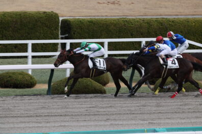 初ダートで待望の初勝利 二刀流での活躍を予感させるポマール