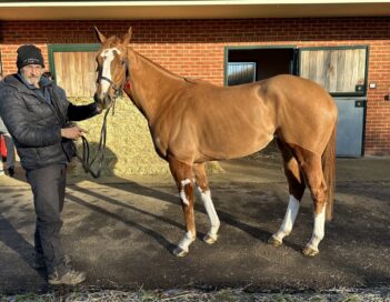 【欧州セール遠征】繁殖牝馬を追いかけて③