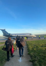 【欧州セール遠征】繁殖牝馬を追いかけて④