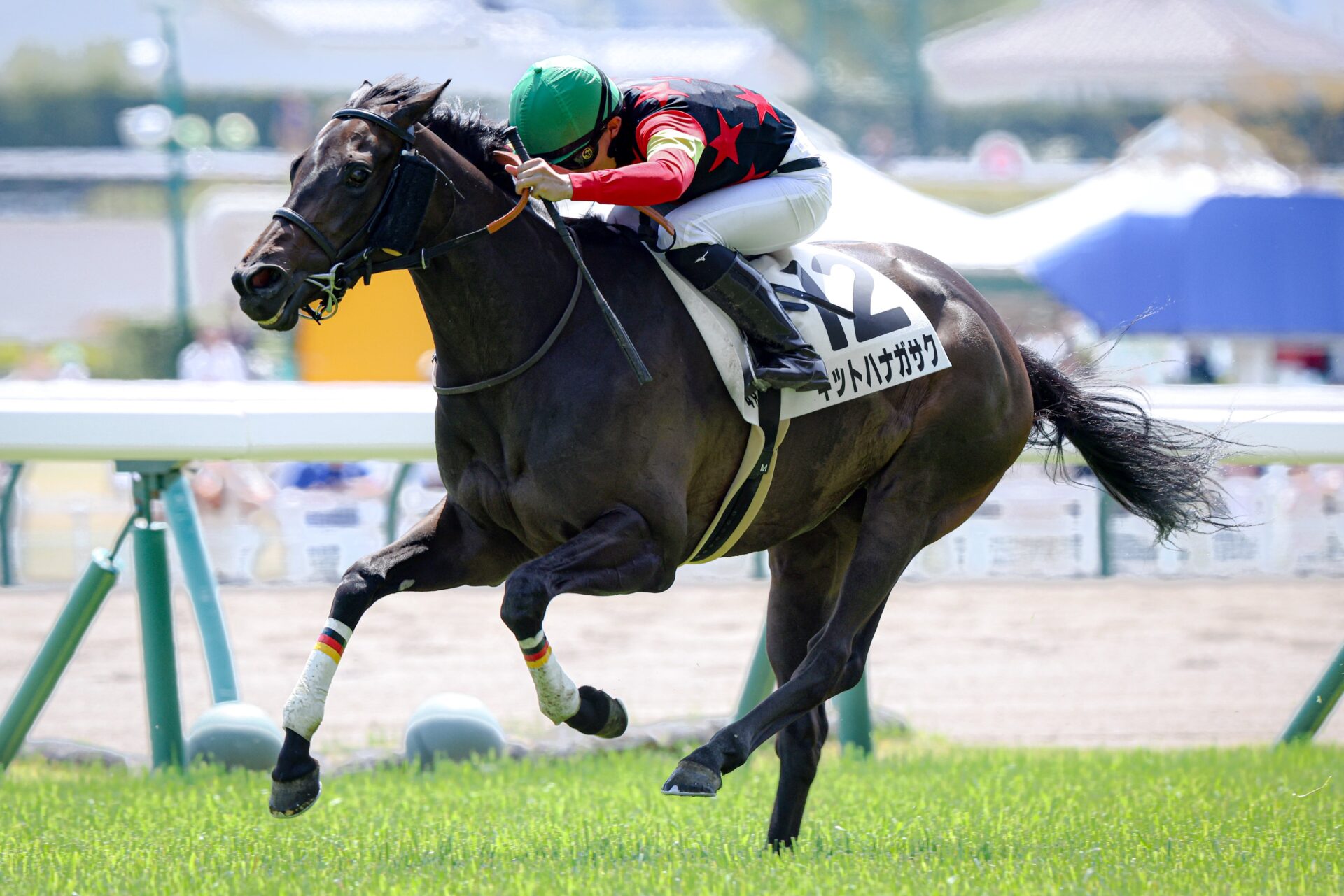 4月13日の福島4R・3歳未勝利（芝2000m）において、生産馬のキットハナガサク号（牝3歳、父キズナ、母メジロスプレンダー）が初勝利