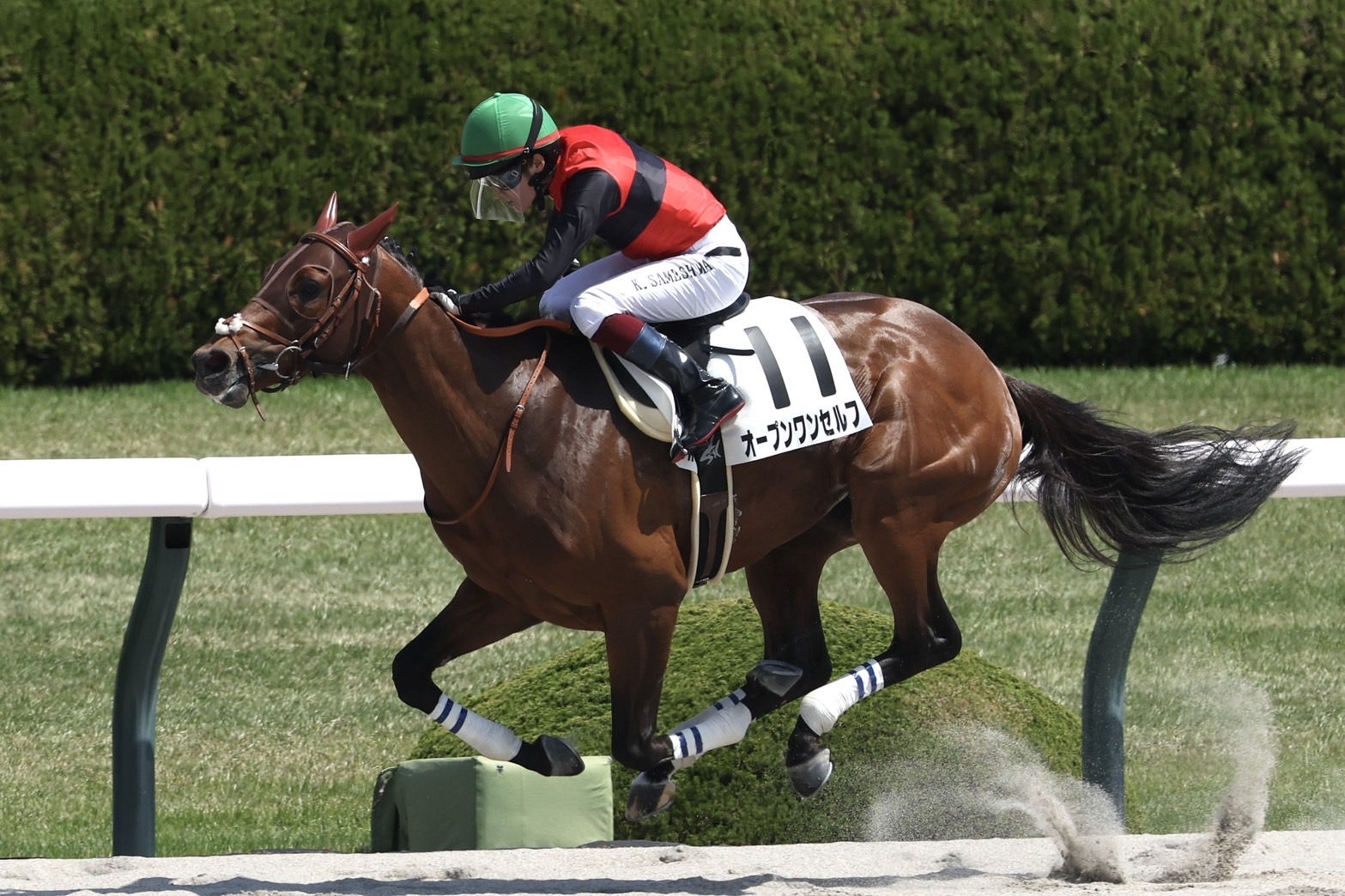 4月14日の阪神3R・3歳未勝利（ダート1800m）において、生産馬のオープンワンセルフ号（牡3歳、父ドゥラメンテ、母ハヴユーゴーンアウェイ）が勝利