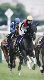 しっかり折り合って末脚発揮 オークスでライトバックが3着奮闘