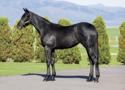 イタリアンホワイトの2023