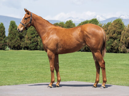 サルスエラの2023