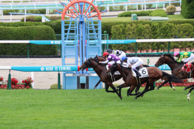 〝スタミナ自慢〟サンライズガッツが初勝利 メジロマリアンの産駒は6頭連続の勝ち上がり