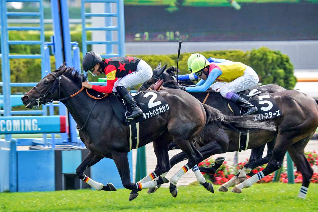 6月15日の函館10R・奥尻特別（芝2000m）において、生産馬のキットハナガサク号（牝3歳、父キズナ、母メジロスプレンダー）が勝利