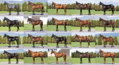 セレクトセール2024完売御礼