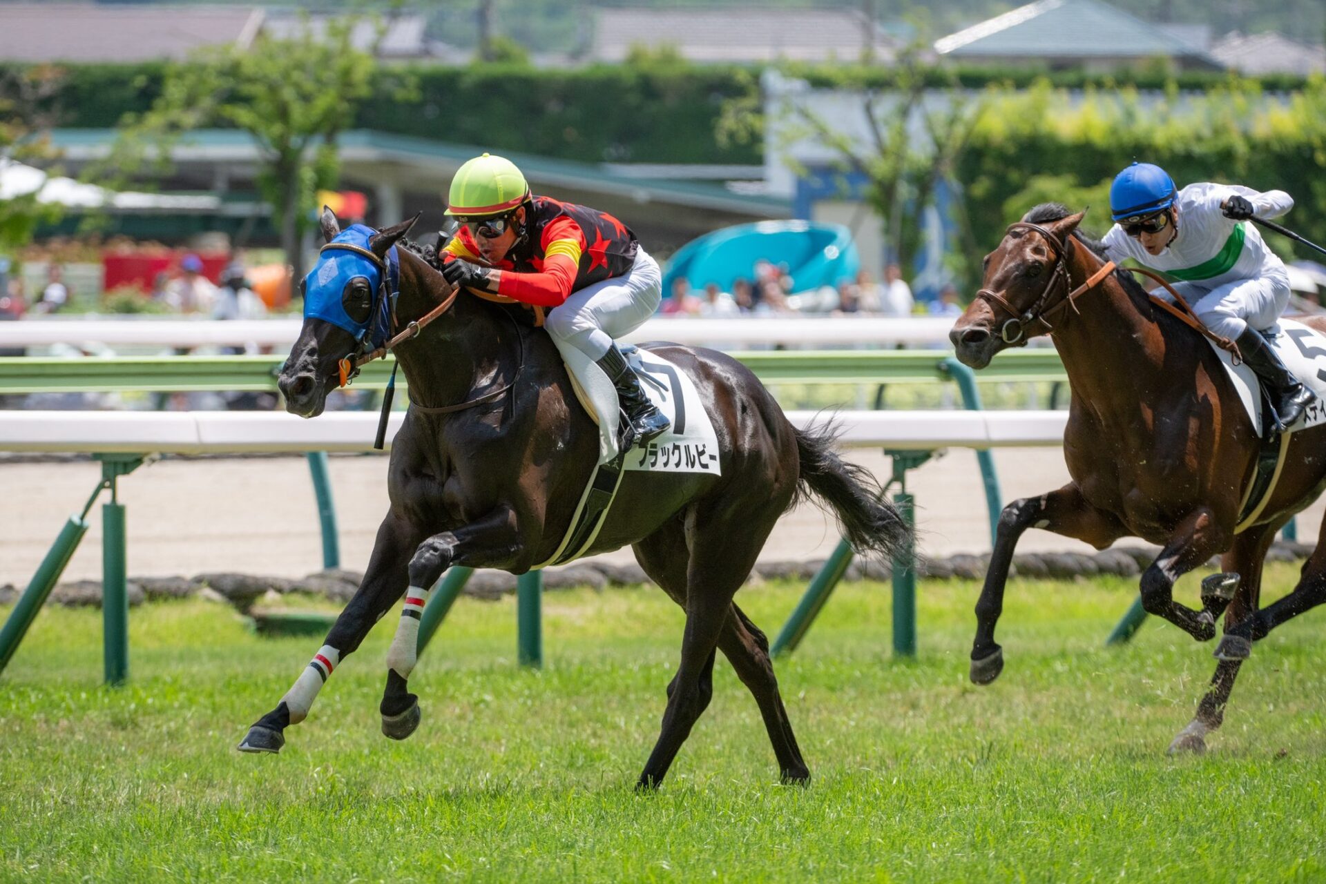 7月21日の福島5R・2歳新馬（芝1800m）において、生産馬のブラックルビー号（牝2歳、父キズナ、母メジロスプレンダー）が勝利