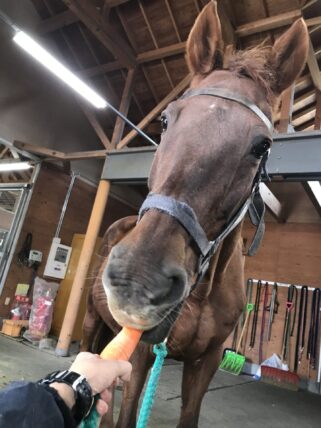 クライウィズジョイ