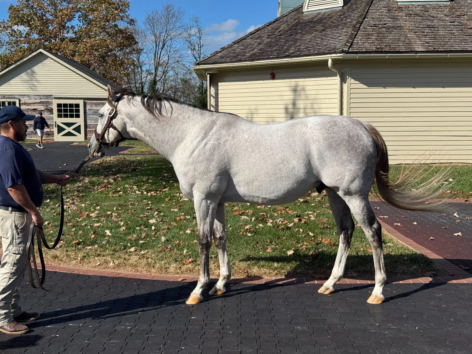 米国セール遠征2024】スタッフが語る繁殖牝馬を追いかけて⑥ | LAKE VILLA FARM