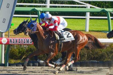 去勢明け2戦目で見せた成長の跡 ダノンマカルーが鮮やかな差し切り