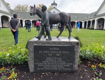 【米国セール遠征2024】スタッフが語る繁殖牝馬を追いかけて⑦