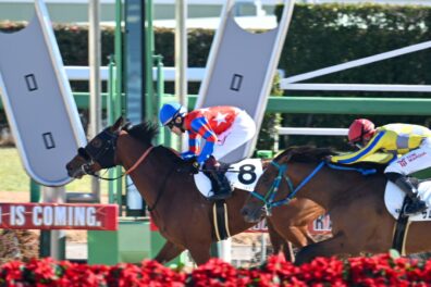 ライアンとダーリングの血を継ぐ男 ピカピカサンダーが逃げ切りで初勝利