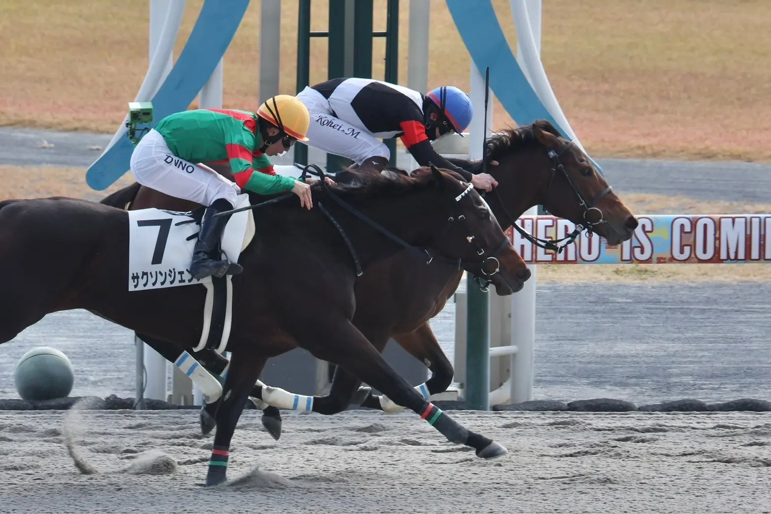 師走の中京ダート1800mは十八番 モモンウールーが1年ぶりの待望2勝目 