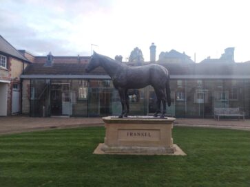 【欧州セール遠征2024】スタッフが語る繁殖牝馬を追いかけて⑤