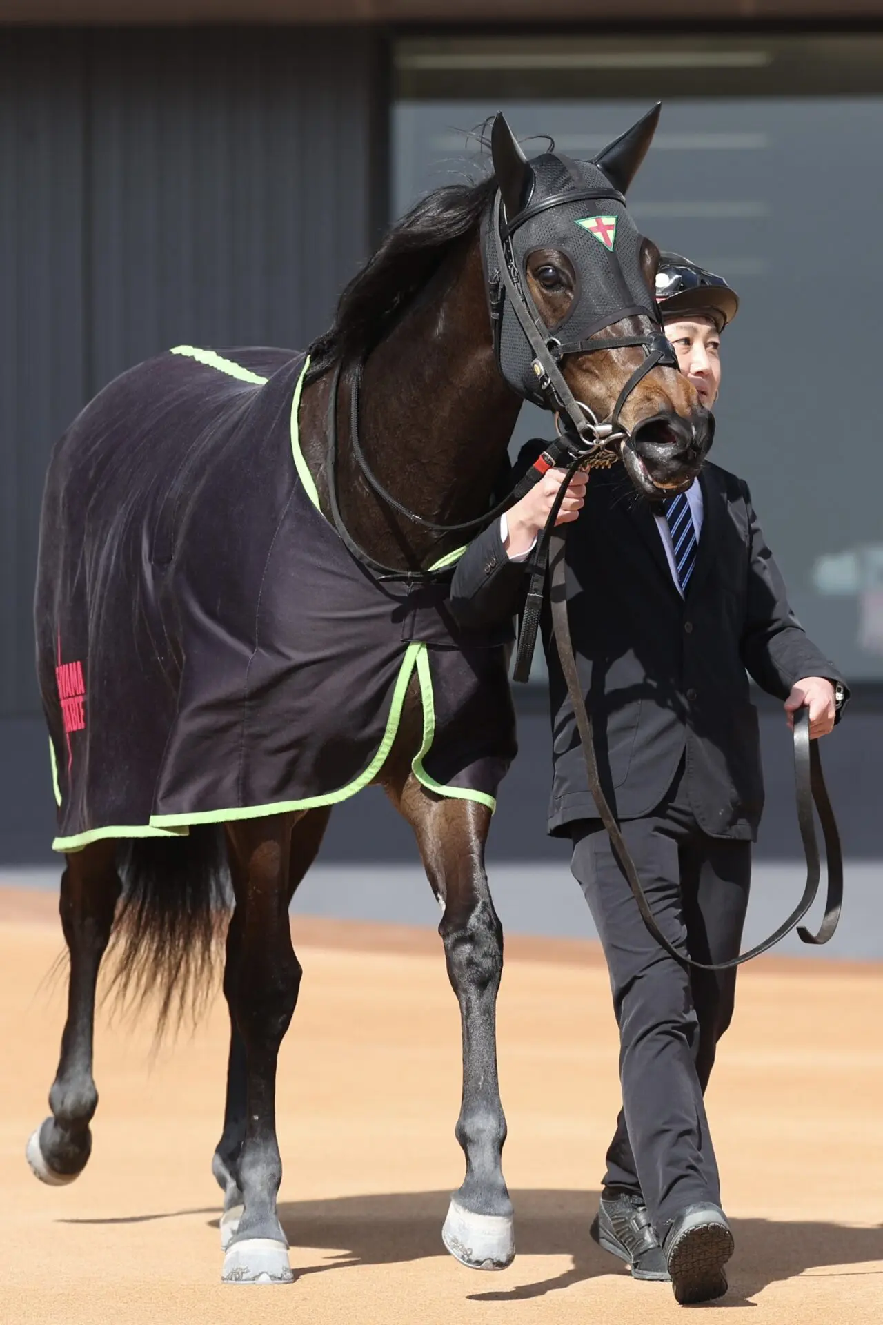 仕切り直しの2戦目で真価発揮 スニーカースキルが3馬身差の圧勝 | LAKE