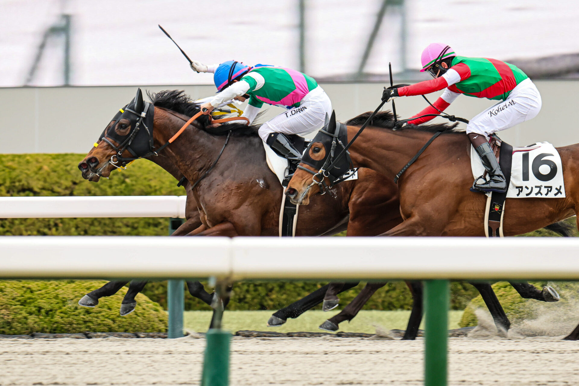 3月15日の阪神7R・3歳1勝クラス（ダート1400m）において、生産馬のドンパッショーネ号（牡3歳、父クオリティロード、母ストーミーエンブレイス）が勝利
