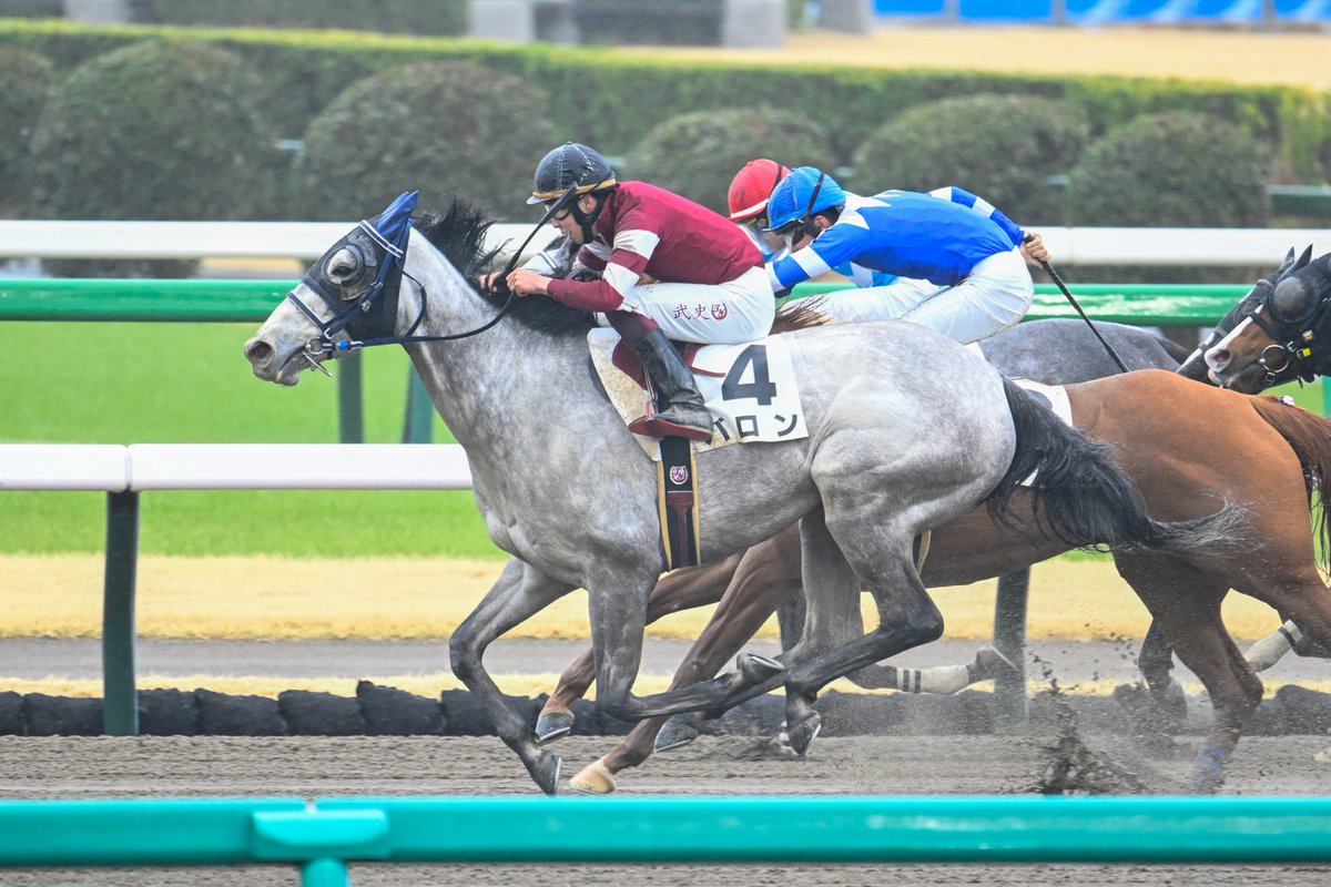 3月16日の中山7R・4歳以上1勝クラス（ダート1200m）において、生産馬のバロン号（牝4歳、父ロードカナロア、母マイミスリリー）が勝利