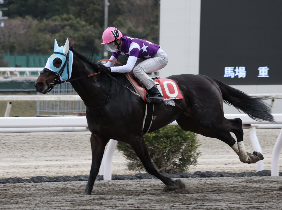 3月18日の高知1R・竜王盃（ダート1400m）において、生産馬のサンライズアレス号（牡3歳、父ドゥラメンテ、母デックドアウト）が勝利