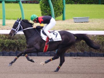 新天地で2年ぶりの美酒 シホノスペランツァが障害初勝利